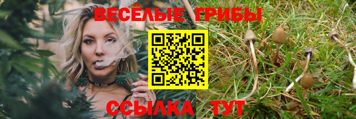 Галлюциногенные грибы Magic Shrooms Полевской