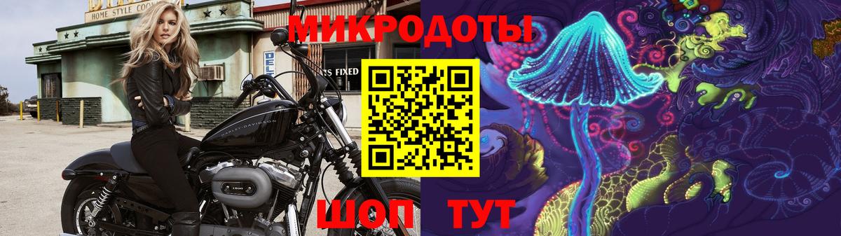 Полевской  Галлюциногенные грибы MAGIC MUSHROOMS  Вход с VPN 